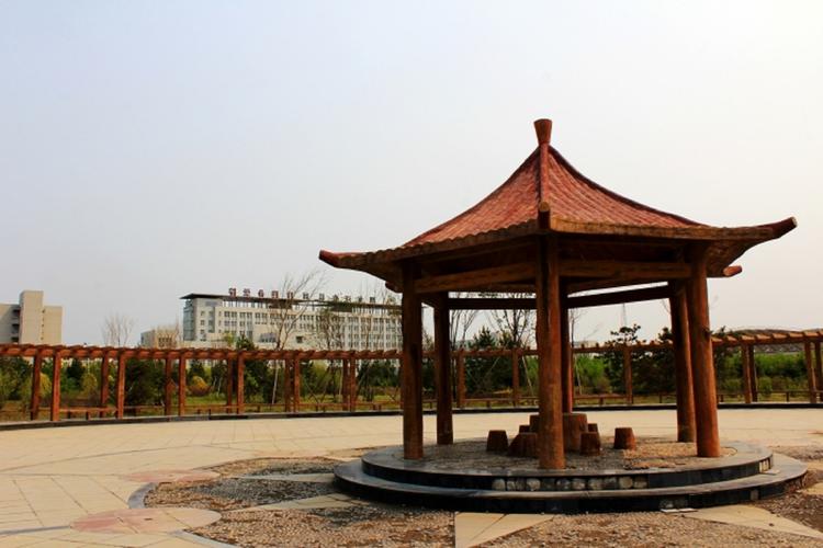 黑土地上的科技明珠 黑龙江农垦科技职业学院